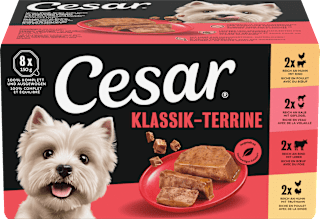 Nassfutter Hund Klassiker Selektion Multipack (8x150 g) Cesar