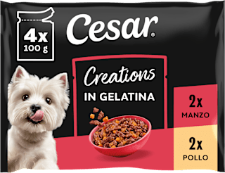 Selezione in gelatina cibo umido per cani adulti Cesar