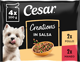 Selezione in salsa cibo umido per cani adulti Cesar