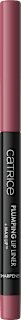Lipliner Plumping 050 Licence To Kiss CATRICE