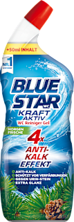 WC Reiniger Gel Kraft Aktiv Morgenfrische BLUE STAR