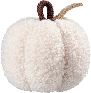 Kürbis Teddyfell, creme (10 cm) BOLTZE