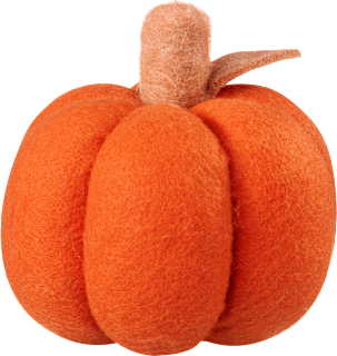 Filzkürbis orange (13 cm) BOLTZE