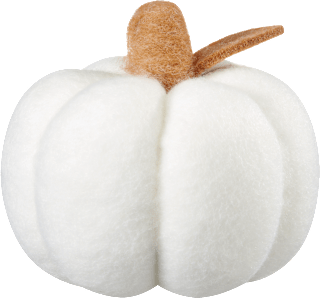 Filzkürbis weiß (13 cm) BOLTZE