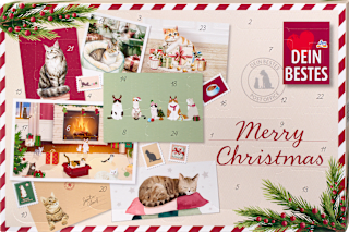 Adventskalender 2026 - merry christmas für Katzen Dein Bestes