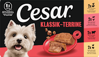Nassfutter Hund Klassik-Terrine Cesar