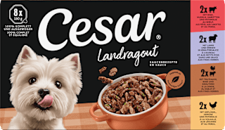 Nassfutter Hund Landragout Saucenrezepte Cesar
