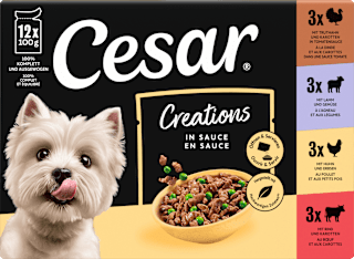 Nassfutter Creations in Sauce Cesar