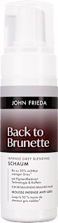 Tönungsschaum Back To Brunette Intense Grey Blending Schaum John Frieda