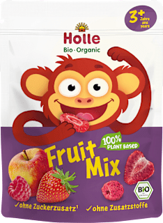 Kindersnack Fruit Mix ab 3 Jahren Holle
