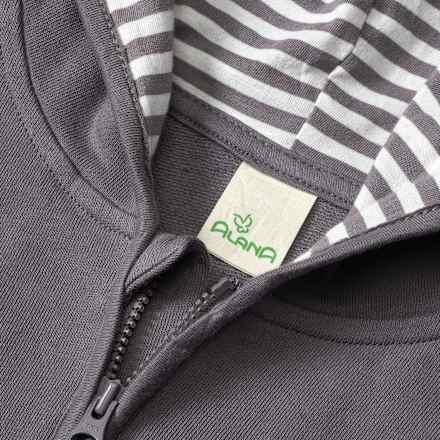 Sweatjacke mit Dino-Motiv, grau, Gr. 116 ALANA