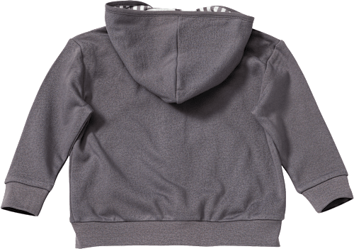 Sweatjacke mit Dino-Motiv, grau, Gr. 116 ALANA