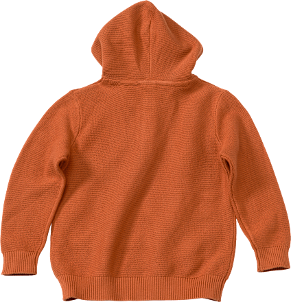 Pullover mit Kapuze, braun, Gr. 86 ALANA