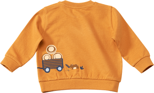 Sweatshirt mit Traktor-Applikation, braun, Gr. 86 ALANA