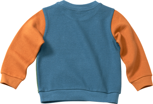 Sweatshirt im Colourblocking-Design, bunt, Gr. 116 ALANA