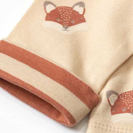 Langarmshirt mit Fuchs-Muster, braun, Gr. 74 ALANA