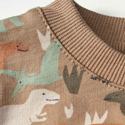 Sweatshirt Pro Climate mit Dino-Muster, grün, Gr. 80 ALANA