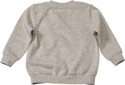Sweatshirt mit Fuchs-Motiv, grau, Gr. 92 ALANA