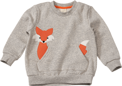 Sweatshirt mit Fuchs-Motiv, grau, Gr. 92 ALANA