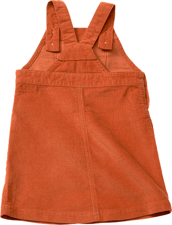 Kleid aus Cord mit Fuchs-Motiv, braun, Gr. 104 PUSBLU