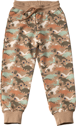 Jogginghose Pro Climate mit Dino-Muster, grün, Gr. 116 ALANA