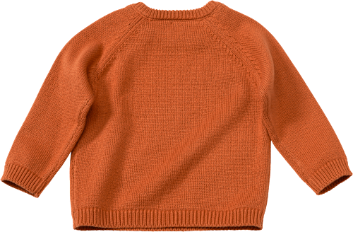 Pullover mit Fuchs-Motiv, braun, Gr. 80 PUSBLU