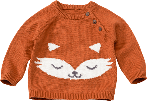 Pullover mit Fuchs-Motiv, braun, Gr. 80 PUSBLU