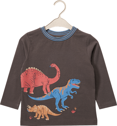 Langarmshirt Pro Climate mit Dino-Motiv, grau, Gr. 128 ALANA