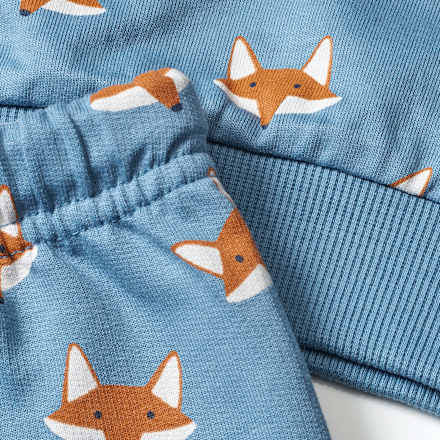 Set mit Sweatshirt & Hose mit Fuchs-Muster, blau, Gr. 80 ALANA