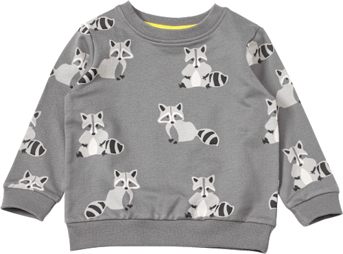 Sweatshirt mit Waschbär-Muster, grau, Gr. 92 ALANA