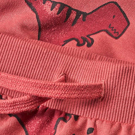 Set mit Sweatshirt & Hose mit Dino-Muster, rot, Gr. 80 ALANA