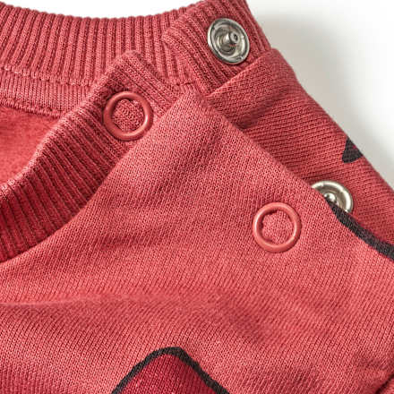 Set mit Sweatshirt & Hose mit Dino-Muster, rot, Gr. 80 ALANA
