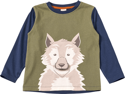 Langarmshirt mit Wolf-Applikation, grün & blau, Gr. 104 ALANA