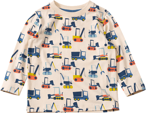 Langarmshirt Pro Climate mit Fahrzeug-Muster, beige, Gr. 122 ALANA
