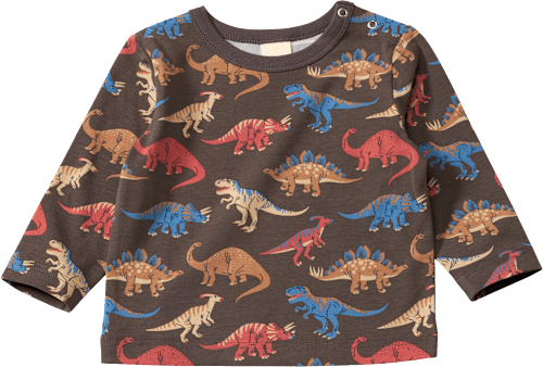 Langarmshirt Pro Climate mit Dino-Muster, grau, Gr. 74 ALANA