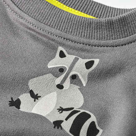 Sweatshirt mit Waschbär-Muster, grau, Gr. 104 ALANA