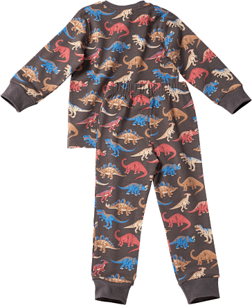 Schlafanzug Pro Climate mit Dino-Muster, grau, Gr. 110/116 ALANA