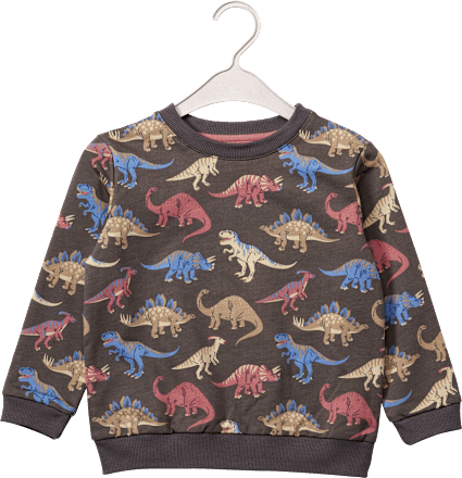 Sweatshirt mit Dino-Motiv, grau, Gr. 116 ALANA