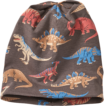 Mütze Pro Climate mit Dino-Muster, grau, Gr. 52/53 ALANA