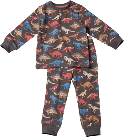 Schlafanzug Pro Climate mit Dino-Muster, grau, Gr. 110/116 ALANA