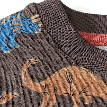 Langarmshirt Pro Climate mit Dino-Muster, grau, Gr. 92 ALANA