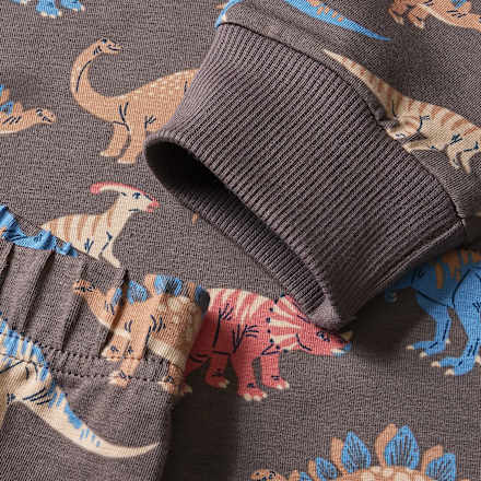 Schlafanzug Pro Climate mit Dino-Muster, grau, Gr. 110/116 ALANA