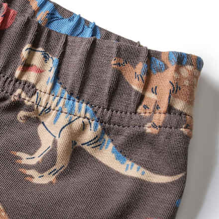 Schlafanzug Pro Climate mit Dino-Muster, grau, Gr. 110/116 ALANA