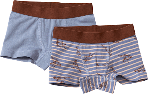 Boxershorts mit Dino-Muster, blau & braun, Gr. 110/116 ALANA