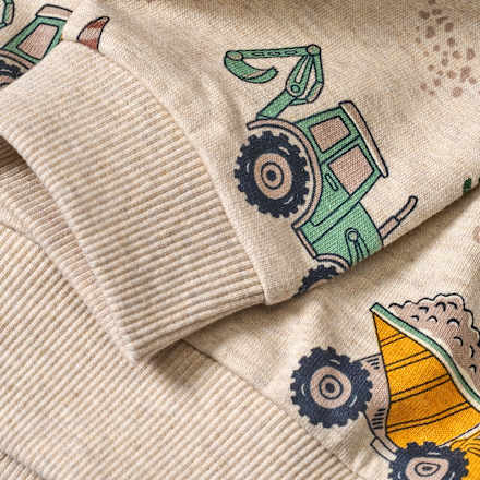 Sweatshirt mit Kapuze & Baustellenfahrzeug-Muster, beige, Gr. 98 ALANA