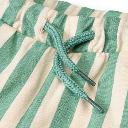 Shorts mit Streifen-Muster, grün, Gr. 104 ALANA