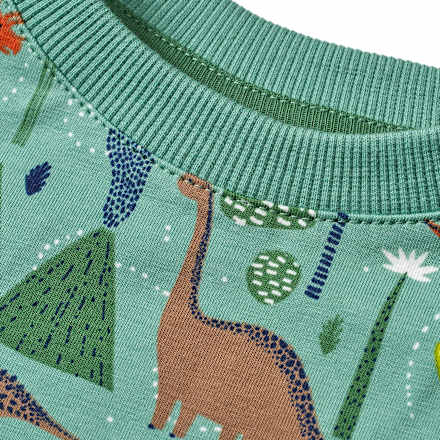 Langarmshirt Pro Climate mit Dino-Muster, grün, Gr. 104 ALANA