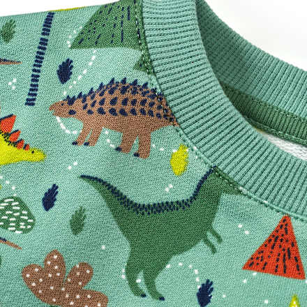 Sweatshirt mit Dino-Muster, grün, Gr. 98 ALANA