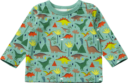 Langarmshirt Pro Climate mit Dino-Muster, grün, Gr. 74 ALANA