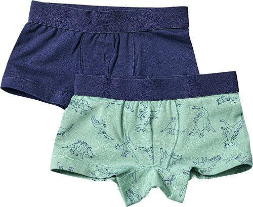 Boxershorts mit Dino-Muster, grün + blau, Gr. 98/104 ALANA